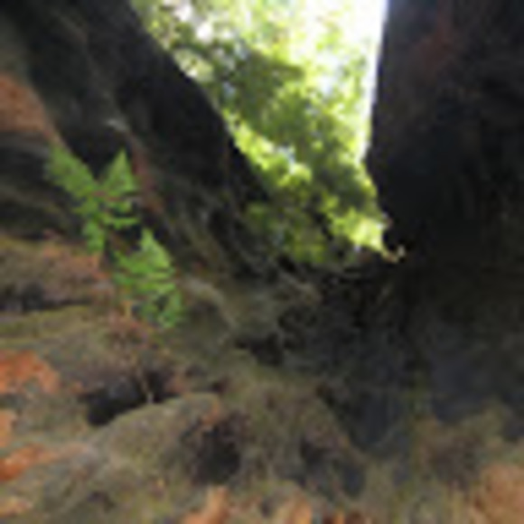 Meet your Posher, Rebecca - Picture 1 of 1